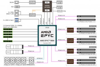 G293-Z22-AAP1