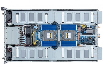 G293-Z42-AAP1