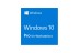 Windows 10 Pro 64 bit for Workstations (OEM)